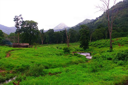 Anaimalai