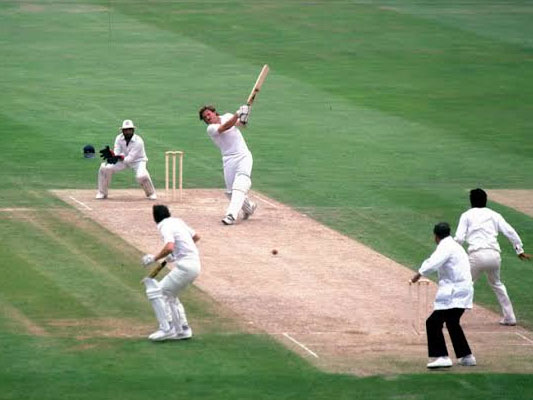 Cricket